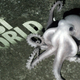 Illustration for article titled Lost World Discovered Under Antarctica